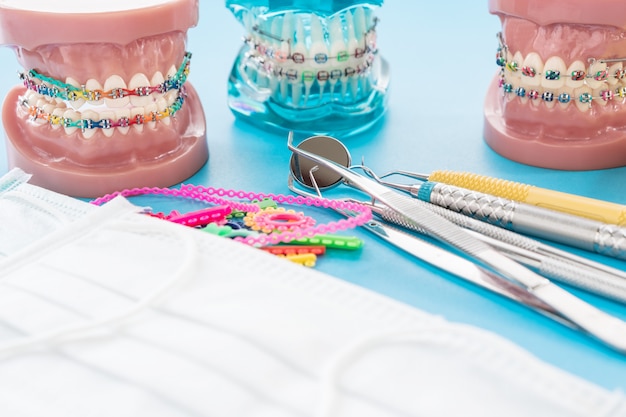 Modèle Orthodontique Et Outil De Dentiste - Modèle De Dents De Démonstration Des Variations De La Parenthèse Ou Du Corset Orthodontique