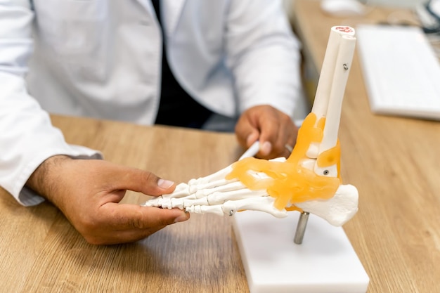 Modèle d'os de pieds à la table des médecins Modèle de pied artificiel médical éducatif Os détaillés du pied