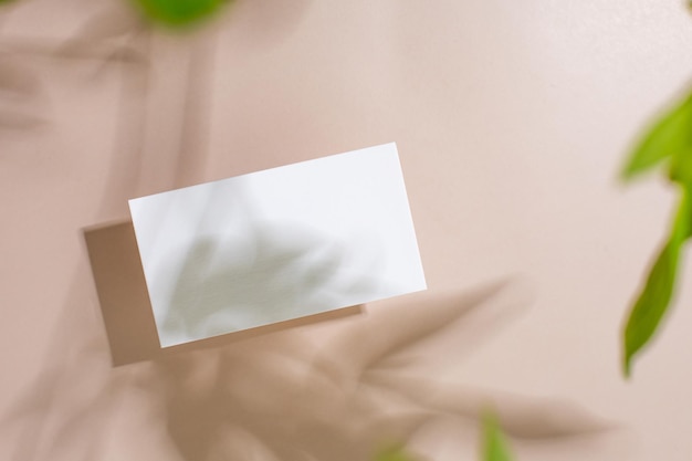 Photo modèle de papier avec ombre de plante verte sur fond beige pastel superbe design à toutes fins abs