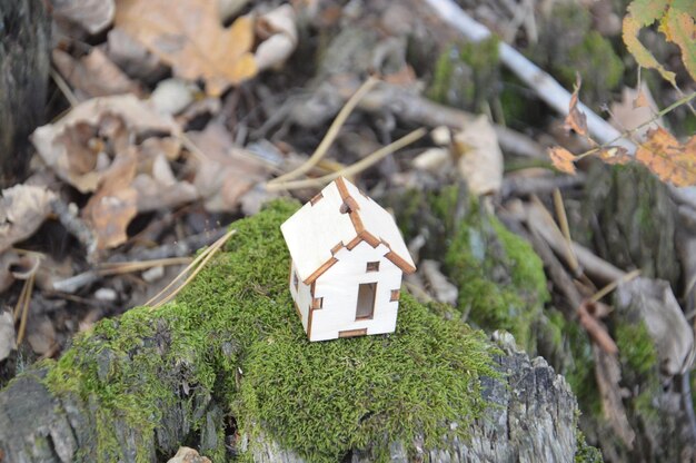 Modèle d'une petite maison en bois dans la forêt