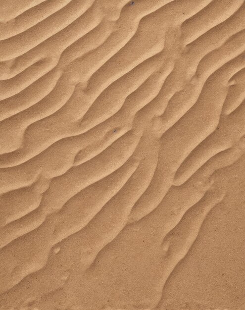 modèle de plage à l'arrière-plan une dune de sable avec un petit motif d'onde