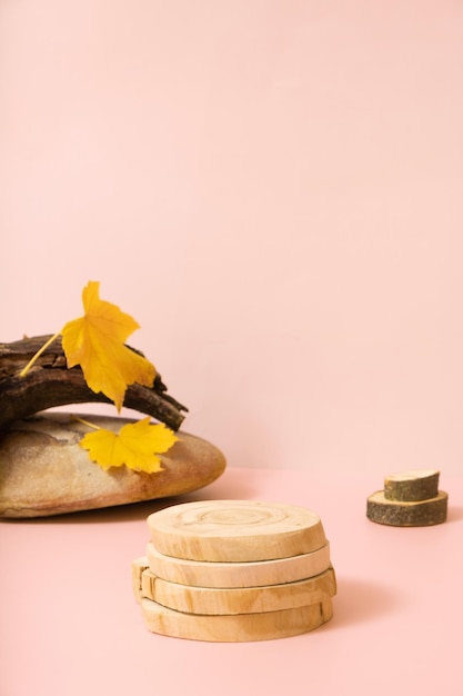 Modèle de podium ou de piédestal maquette Composition de scène d'automne pour les cosmétiques