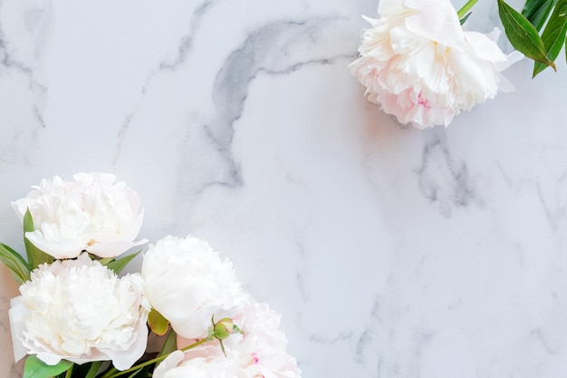 Modèle pour une carte de voeux romantique avec des pivoines crémeuses sur fond de marbre blanc Fleurs épanouies sur fond blanc pivoines roses sur une table en marbre blanc à plat