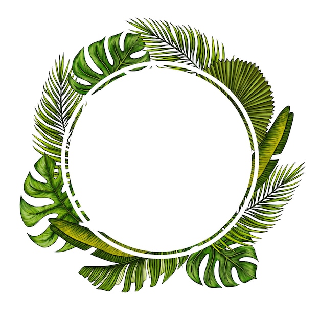 Modèle rond pour le texte avec des feuilles de palmiers tropicaux Couronne de feuilles tropicales Cadre circulaire avec des plantes exotiques de la forêt tropicale isolée sur blanc Illustration réaliste dessinée à la main pour la conception d'étiquette