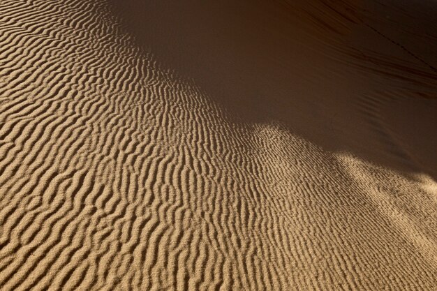 Modèle de sable sur les dunes du désert