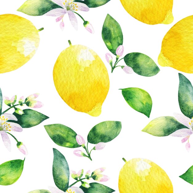 Modèle sans couture aquarelle d'une branche de citron avec des feuilles et des agrumes