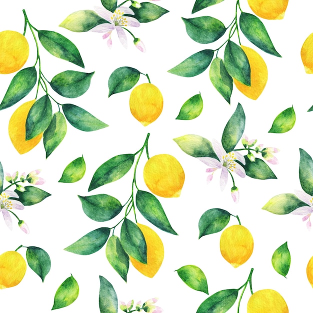 Modèle sans couture aquarelle d'une branche de citron avec des feuilles et des agrumes