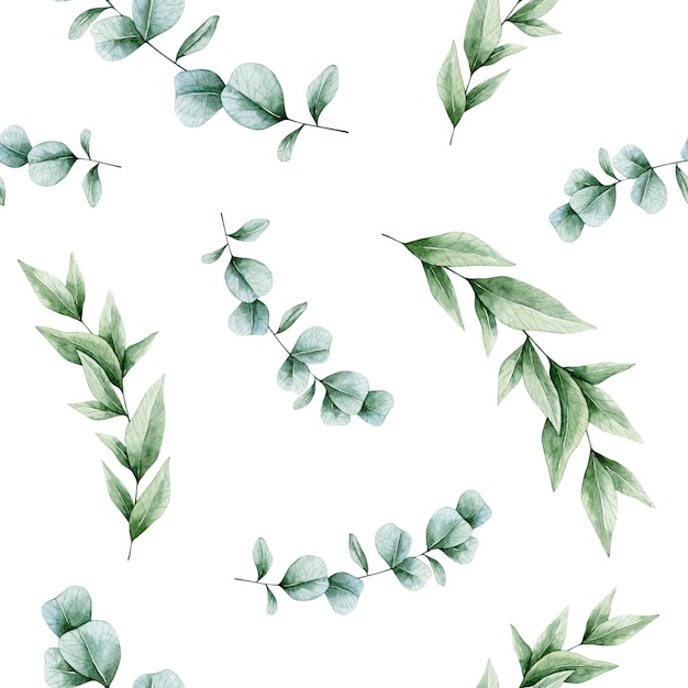 Modèle sans couture aquarelle avec des branches d'eucalyptus et des feuilles vertes. Isolé sur fond blanc