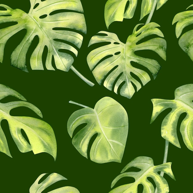 Modèle sans couture aquarelle feuilles tropicales monstera