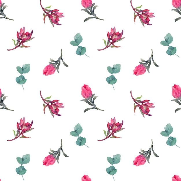 Modèle sans couture aquarelle avec fond floral magenta protea fleurs épanouies et feuilles de protea