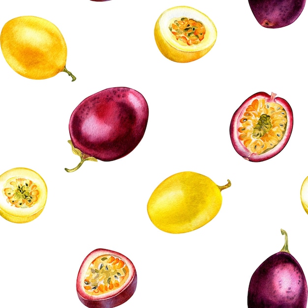 Modèle sans couture aquarelle de fruit de la passion jaune violet isolé sur fond blanc