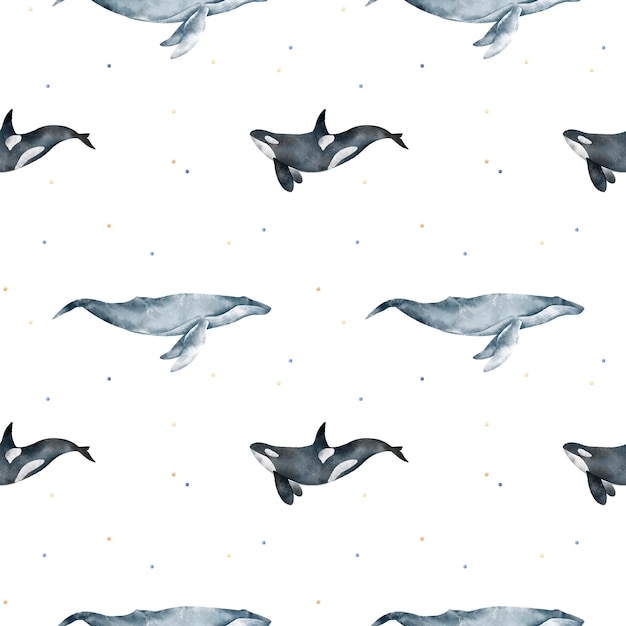Photo modèle sans couture aquarelle mammifères marins baleine bleue, épaulard, orque, points animaux marins faune