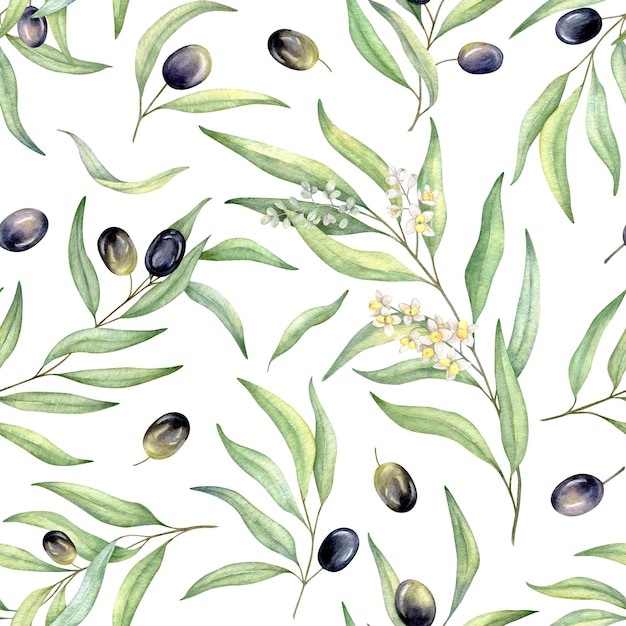 Modèle sans couture aquarelle d'olives noires branches d'olivier fleurs et feuilles