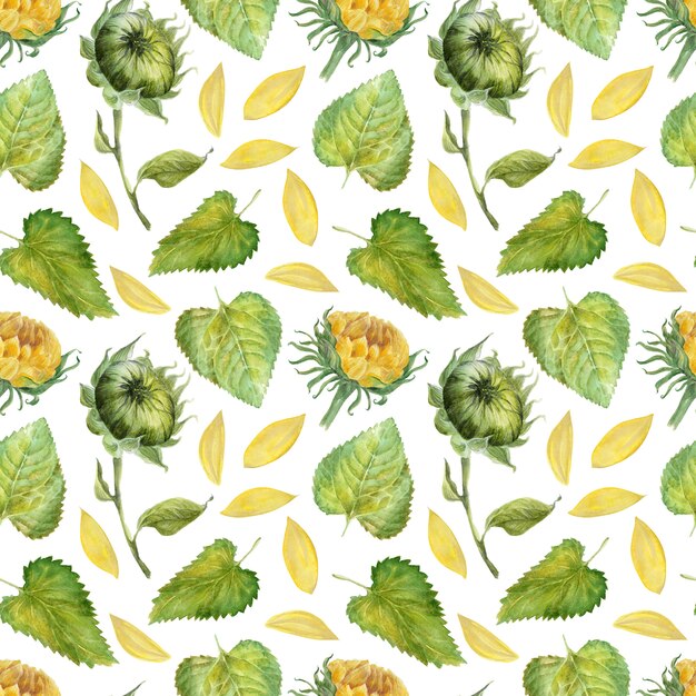 Modèle sans couture aquarelle avec tournesols lumineux, feuilles et bourgeons de la plante