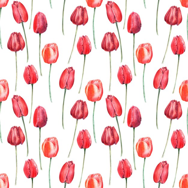 Modèle sans couture aquarelle avec des tulipes rouges élégantes. Bourgeons, fleurs et feuilles