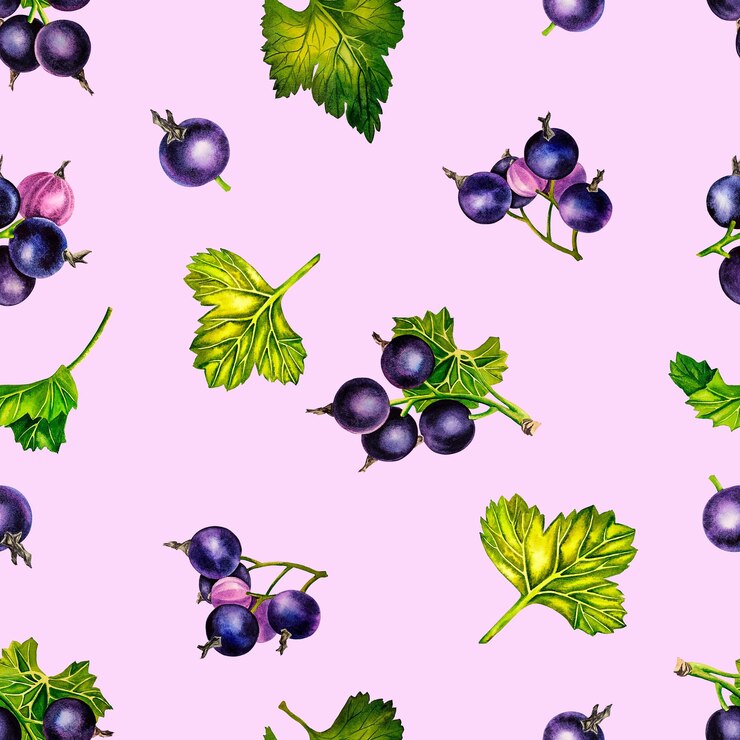 Photo modèle sans couture avec baies de cassis. illustration aquarelle.