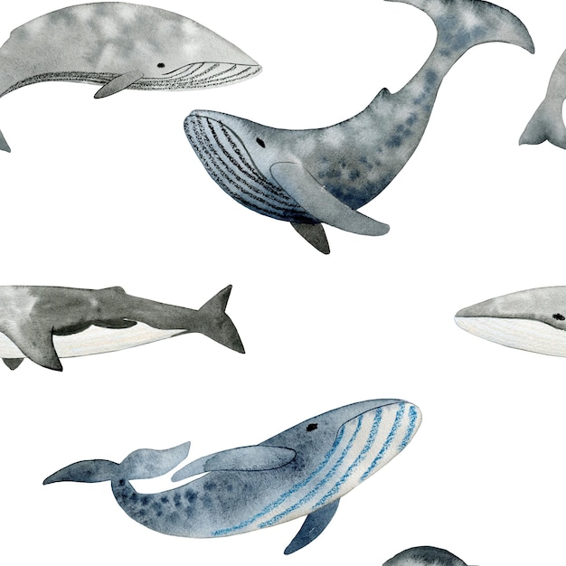 Modèle sans couture avec baleines aquarelles