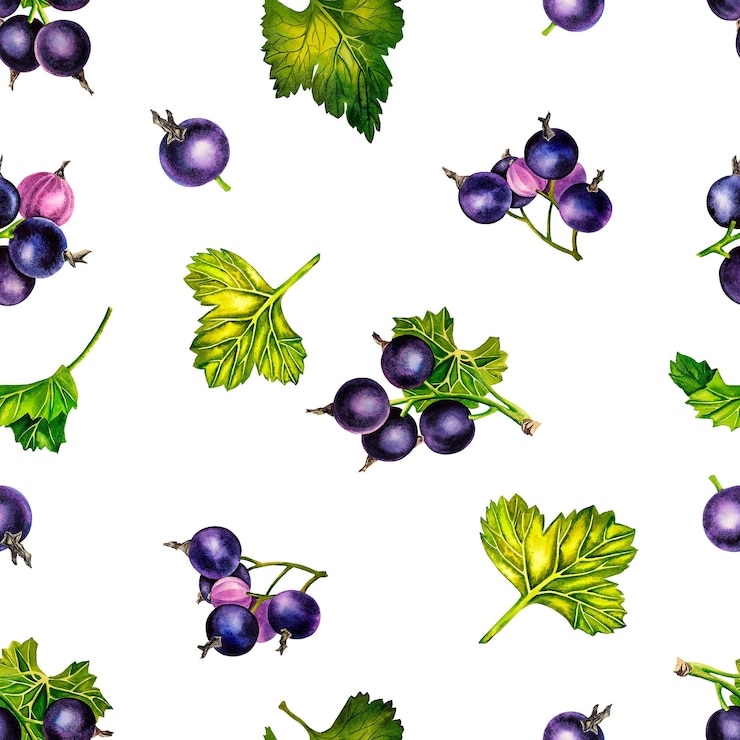 Photo modèle sans couture de cassis. illustration aquarelle.