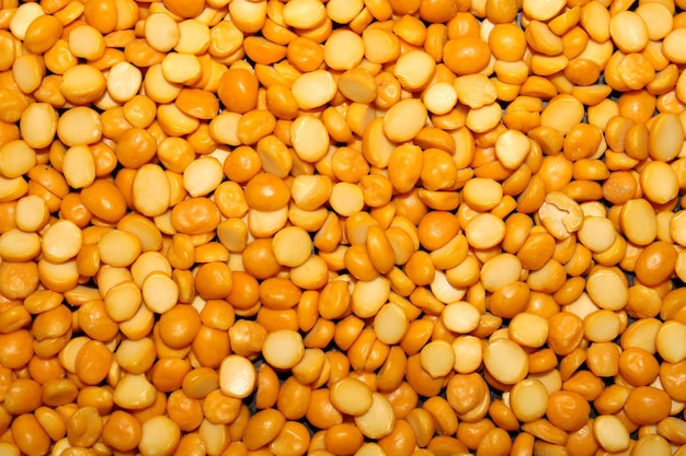 Modèle sans couture de Chana Dal