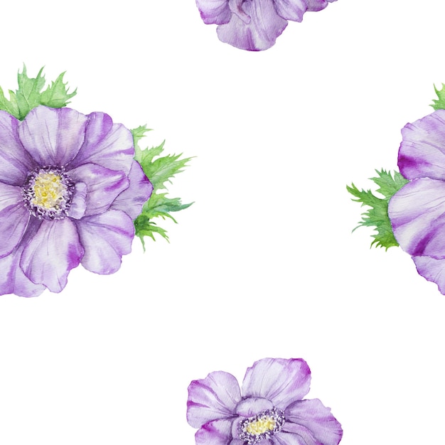 Modèle sans couture dessiné à la main à l'aquarelle d'anémones violettes avec des feuilles vertes isolées sur fond blanc