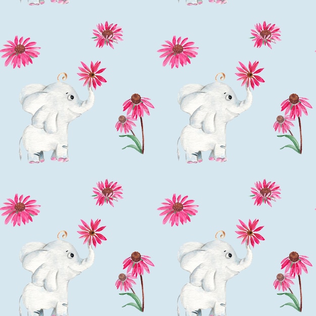 Modèle sans couture avec éléphant mignon et fleurs d'échinacée aquarelle illustration dessinée à la main