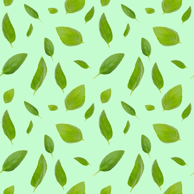 Modèle sans couture avec feuilles Feuilles de basilic sur fond vert