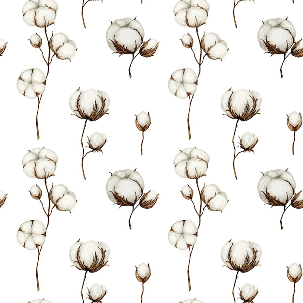 Photo modèle sans couture de fleur de coton sur fond blanc