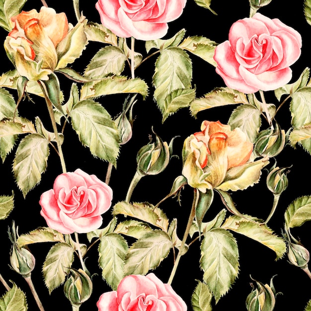 Modèle sans couture avec des fleurs aquarelles Rose