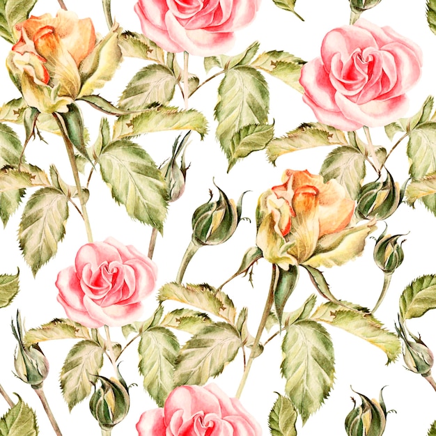 Modèle sans couture avec des fleurs aquarelles Rose