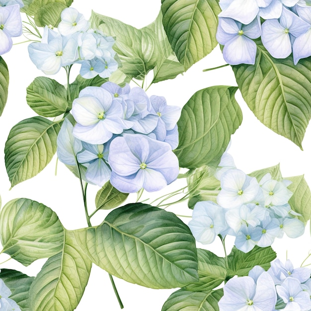 Un modèle sans couture de fleurs d'hortensia bleu et blanc avec des feuilles vertes.