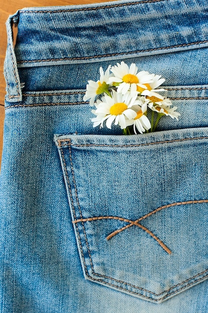 Modèle sans couture de fleurs de marguerite sur fond de jeans.