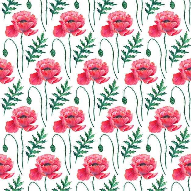 Photo modèle sans couture avec des fleurs de pavot rouge. papaver aquarelle. tiges et feuilles vertes. illustration botanique dessinée à la main. sur blanc. texture pour impression, tissu, textile, papier peint.