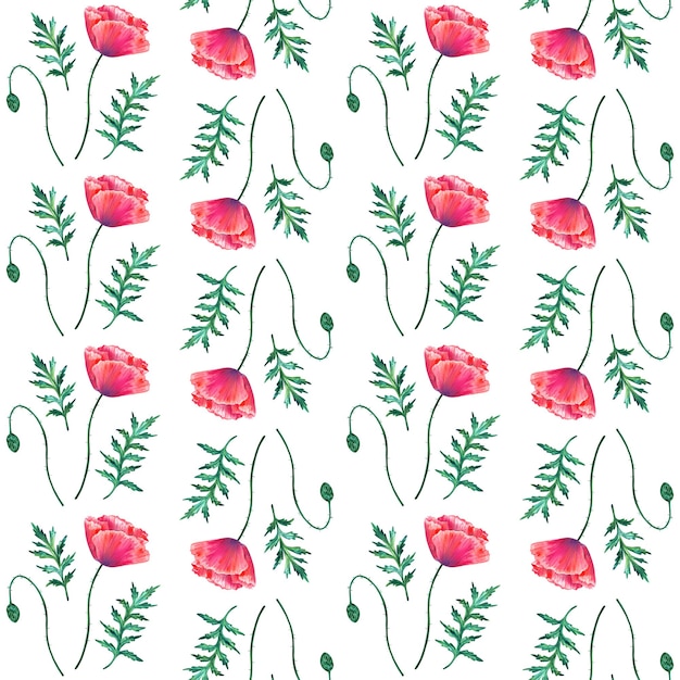 Modèle sans couture avec des fleurs de pavot rouge Papaver aquarelle Tiges et feuilles vertes Illustration botanique dessinée à la main Sur blanc Texture pour papier peint textile tissu imprimé