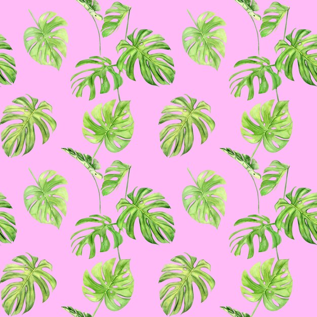 Modèle sans couture illustration aquarelle de monstera feuille tropicale