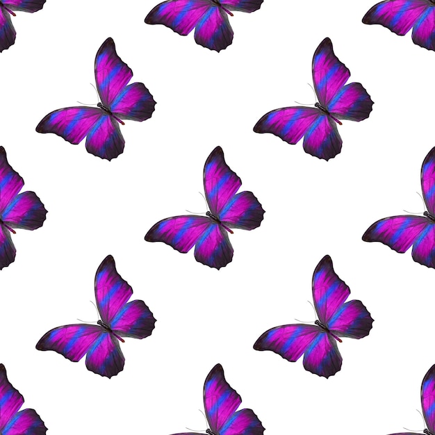 Modèle sans couture de papillons colorés isolé sur fond blanc