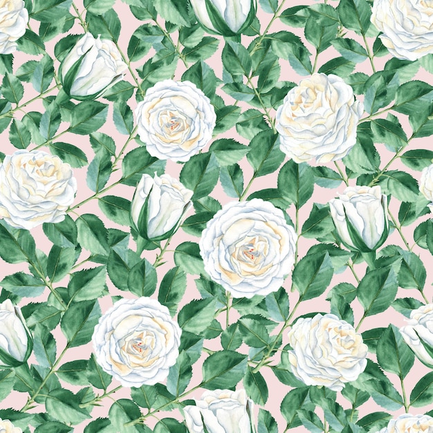 Modèle sans couture avec roses blanches et feuilles vertes sur fond rose aquarelle de style vintage