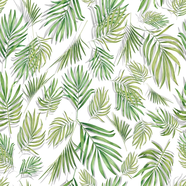 Modèle sans couture tropical avec des feuilles de palmier Impression d'été aquarelle avec illustration de plantes vertes