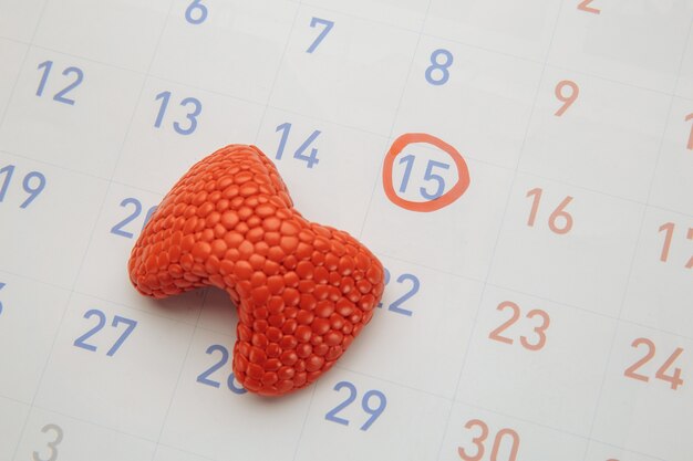 Modèle de thyroïde sur calendrier