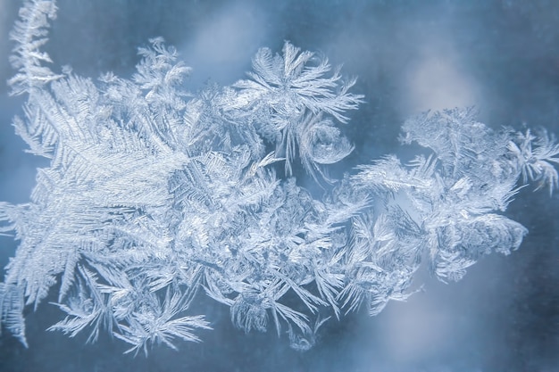 Modèles de glace sur la fenêtre gelée