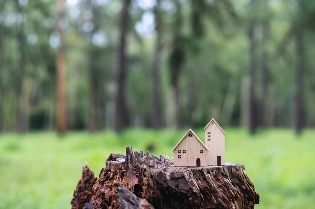 Modèles de maison en bois sur souche d'arbre à l'extérieur