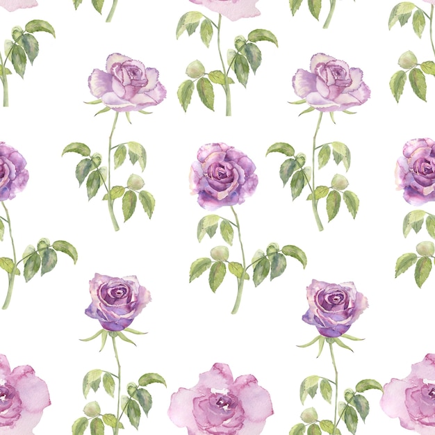 Modèles sans couture avec roses violettes et anémones sur fond blanc isolé aquarelle dessinée à la main
