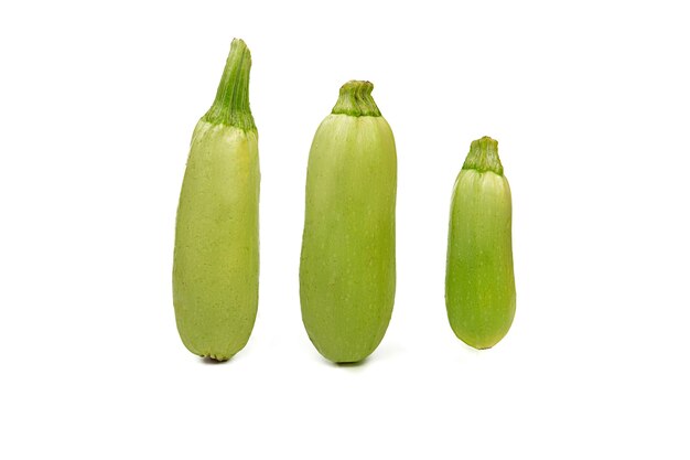 La moelle de légumes frais est debout. Isolé sur fond blanc.