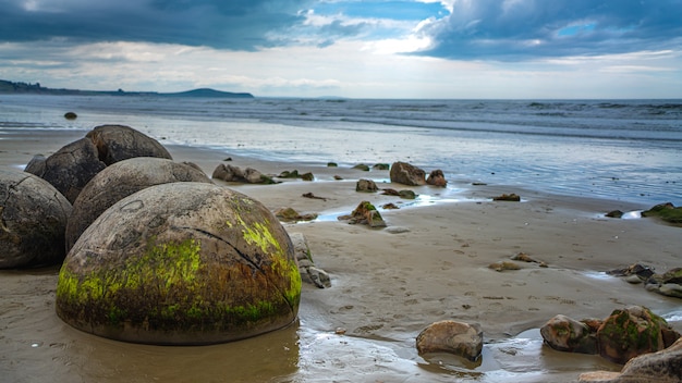 Photo moeraki boulders en nouvelle-zélande