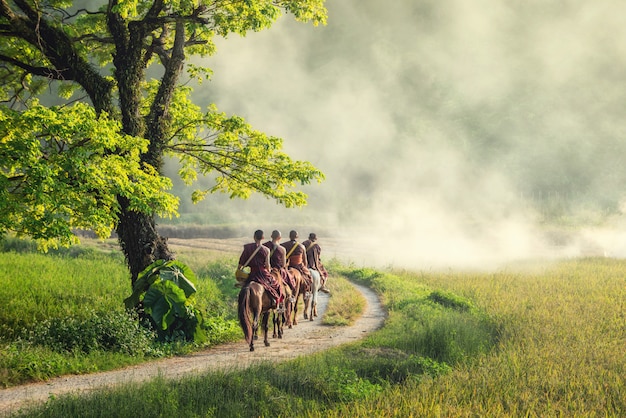 Un moine bouddhiste à la robe brune monte à cheval et demande l'aumône (invisible en Thaïlande), un arbre près du chemin que les gens montent à cheval dans la campagne de Chiangrai, Thaïlande