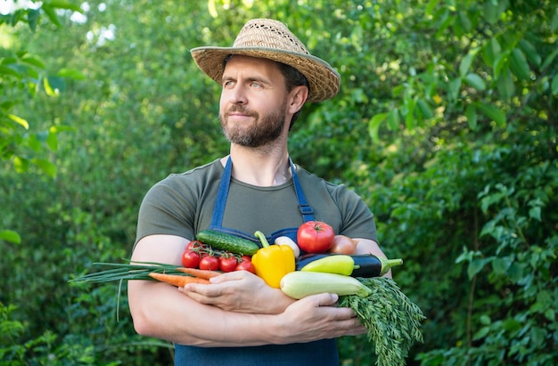 La moissonneuse au chapeau de paille contient des légumes mûrs frais