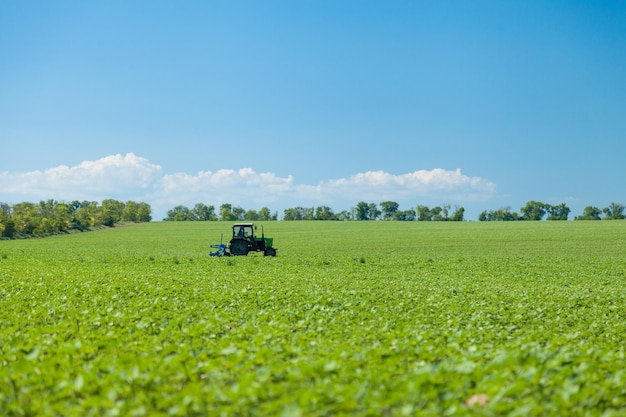 Moissonneuse-batteuse avec cabine de récolte d'avoine sur le terrain agricole