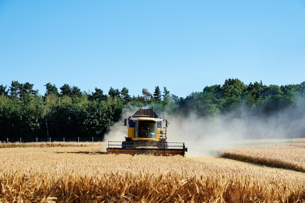 Moissonneuse-batteuse collecte champ de blé doré machine de récolte travaillant au domaine agricole har