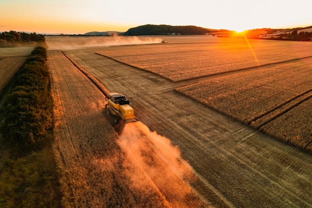 Moissonneuse-batteuse machine agricole récoltant un champ de blé mûr doré La moissonneuse récolte du blé dans le champ Préparation du grain Agronomie et agriculture