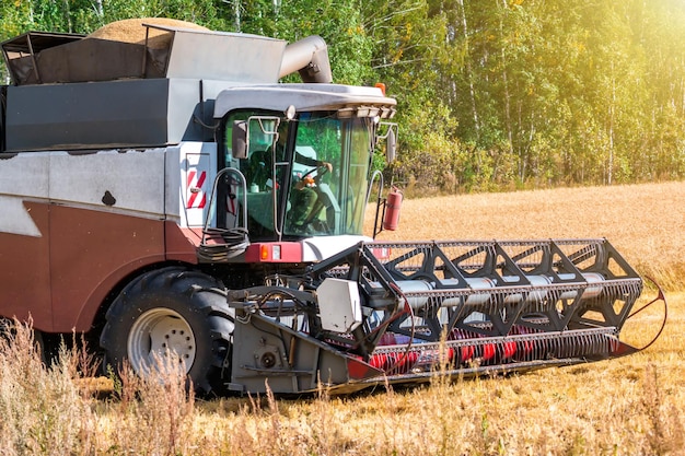 Photo moissonneuse-batteuse moderne travaillant dans le domaine