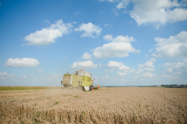 La moissonneuse-batteuse récolte l'agriculture de blé mûr